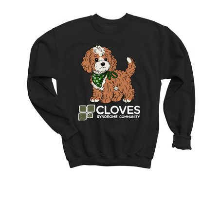 CSC Fall 2026 Collection - Maple Shirts, a Black Youth Crewneck Sweatshirt