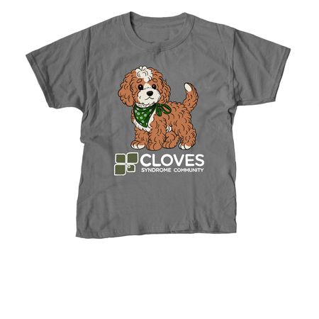 CSC Fall 2026 Collection - Maple Shirts, a Charcoal Youth Unisex Tee