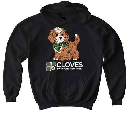 CSC Fall 2026 Collection - Maple Shirts, a Black Softstyle Youth Pullover Hoodie