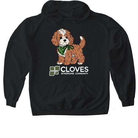 CSC Fall 2026 Collection - Maple Shirts, a Black Gildan Softstyle Pullover Hoodie