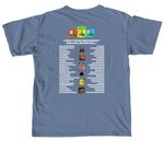 5 Year Streaming Anniversary Tshirt, a Blue Jean Comfort Colors Unisex Tee (back-view)