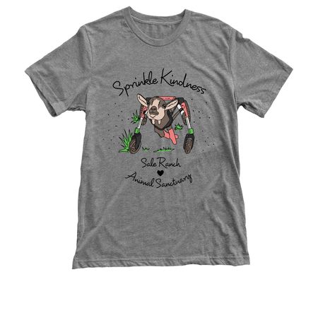 Sprinkle Kindness, a Premium Heather Triblend Unisex Tee