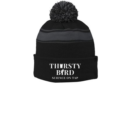 Thirsty Bird: Science on Tap Beanie, a Black/ Iron Grey Printed Stripe Pom-Pom Beanie