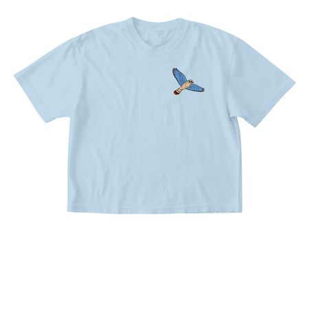 FBC Vegas Logo Shirts, a Chambray Comfort Colors Boxy Tee