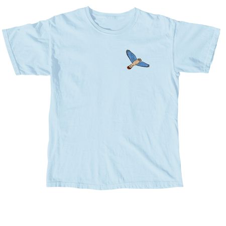 FBC Vegas Logo Shirts, a Chambray Comfort Colors Unisex Tee