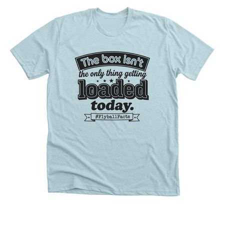 Flyball Truths, a Heather Ice Blue Premium Unisex Tee