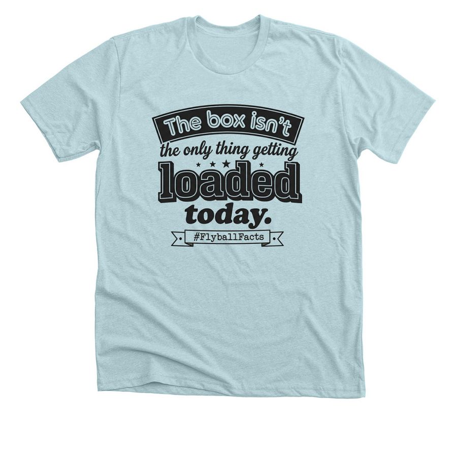 Flyball Truths, a Heather Ice Blue Premium Unisex Tee
