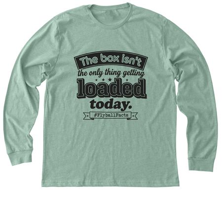 Flyball Truths, a Heather Dusty Blue Premium Long Sleeve Tee