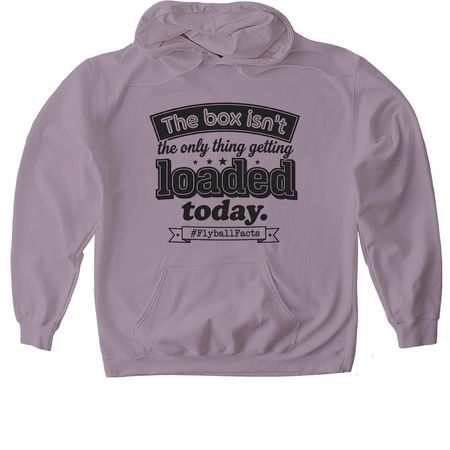 Flyball Truths, a Paragon Gildan Softstyle Pullover Hoodie