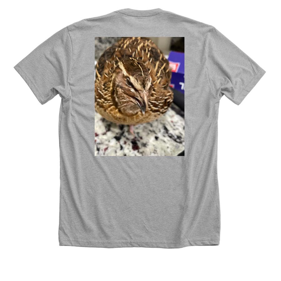 Fatty merch, a Athletic Heather Premium Unisex Tee (back-view)