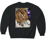 Fatty merch, a Black Softstyle Crewneck Sweatshirt (back-view)