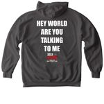 SUGARBOXX ?HEY WORLD? TEE, a Pepper Comfort Colors Pullover Hoodie (back-view)