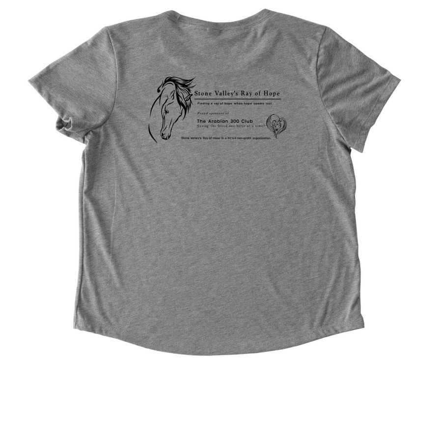 SVRH Fall 2025 2, a Aluminum Grey Allmade Eco Triblend Women?s Scoop Neck Tee (back-view)