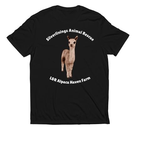 Handsome Samson, a Deep Black Allmade Eco Triblend Unisex Tee