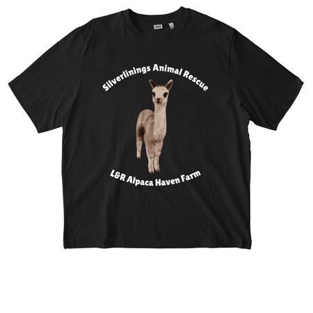 Handsome Samson, a Black Stanley/Stella Unisex Freestyler Heavyweight Tee