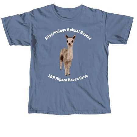 Handsome Samson, a Blue Jean Comfort Colors Unisex Tee