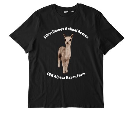 Handsome Samson, a Black Stanley/Stella Unisex Creator 2.0 Tee