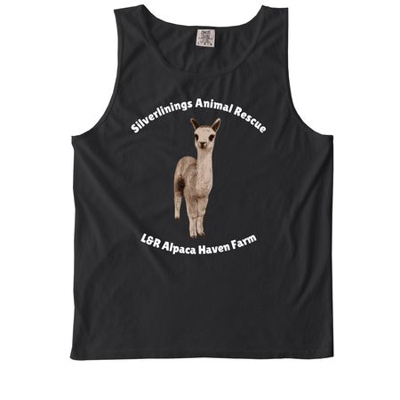 Handsome Samson, a Black Comfort Colors Tank Top