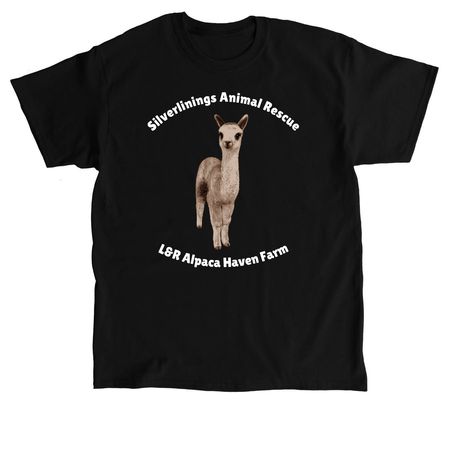 Handsome Samson, a Black Classic Unisex Tee