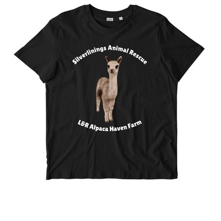 Handsome Samson, a Black Stanley/Stella Unisex Crafter Tee