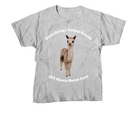 Handsome Samson, a Sport Grey Youth Unisex Tee