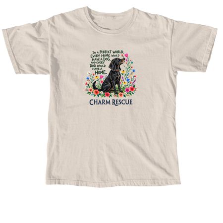 In A Perfect World, a Ivory Comfort Colors Unisex Tee