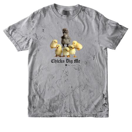 Chicks Dig Me, a Smoke Comfort Colors Colorblast Tee