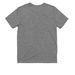 Get the Zoomies!, a Aluminum Grey Allmade Youth Eco Triblend Tee (back-view)