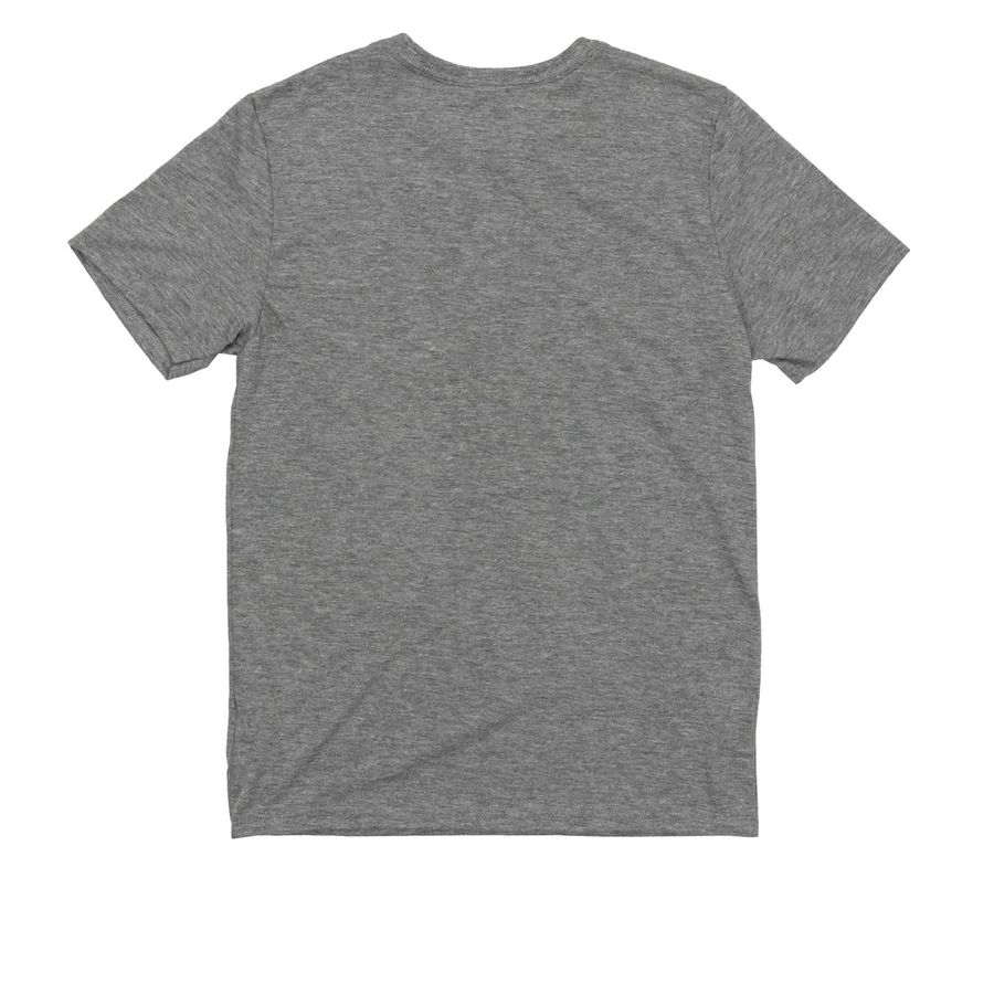 Get the Zoomies!, a Aluminum Grey Allmade Youth Eco Triblend Tee (back-view)