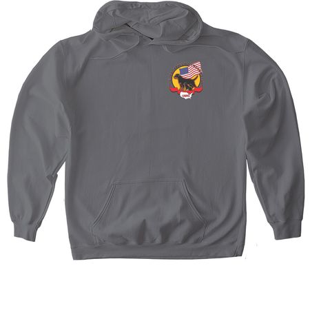 USRC 2025 WORLD TEAM&nbsp;, a Charcoal Gildan Softstyle Pullover Hoodie