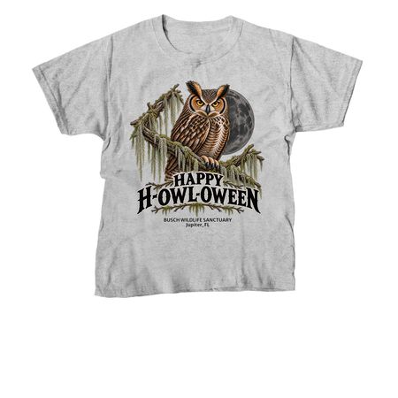 Happy H-OWL-oween, a Sport Grey Youth Unisex Tee