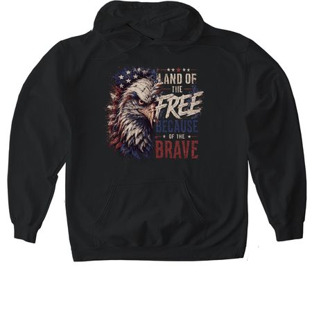 Land of the Free, a Black Gildan Softstyle Pullover Hoodie