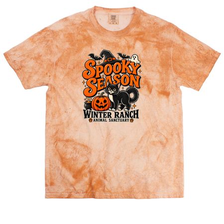 Spooky Season, a Umber Comfort Colors Colorblast Tee