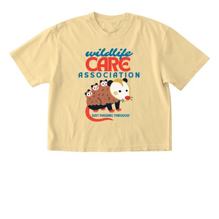 Just Passing Through!, a Butter Comfort Colors Boxy Tee