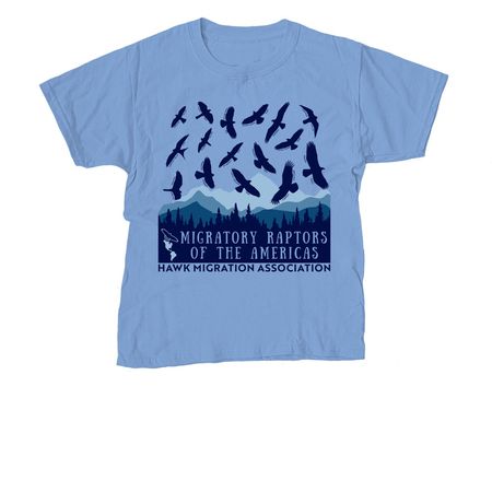 Migratory Raptors of the Americas Shirt, a Carolina Blue Youth Unisex Tee