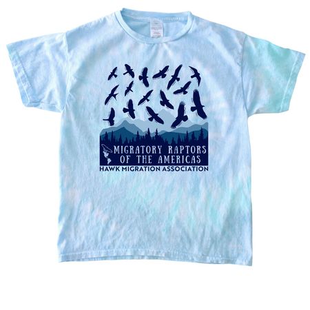 Migratory Raptors of the Americas Shirt, a Lagoon Youth Tie Dye Tee