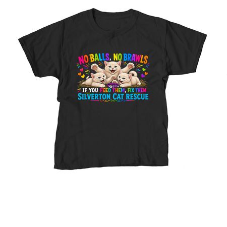 No Balls, No Brawls, a Black Youth Unisex Tee