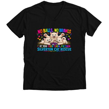 No Balls, No Brawls, a Solid Black Blend Premium V-Neck Tee