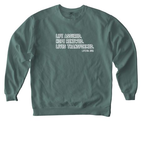 Vision Statement Sweatshirt, a Blue Spruce Comfort Colors Crewneck Sweatshirt