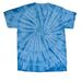 Cash Elementary Spiritwear, a Baby Blue Classic Tie Dye Tee (back-view)