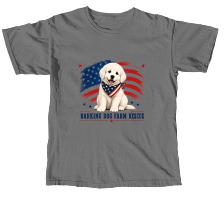Patriotic Pyr T, a Grey Comfort Colors Unisex Tee