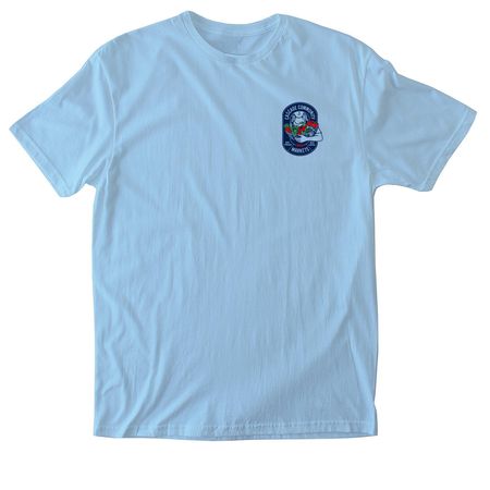 2025 Limited Edition Fundraiser Tee, a Light Blue Softstyle Cotton Tee (back-view)
