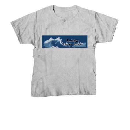 holay. calm down. apparel, a Sport Grey Youth Unisex Tee