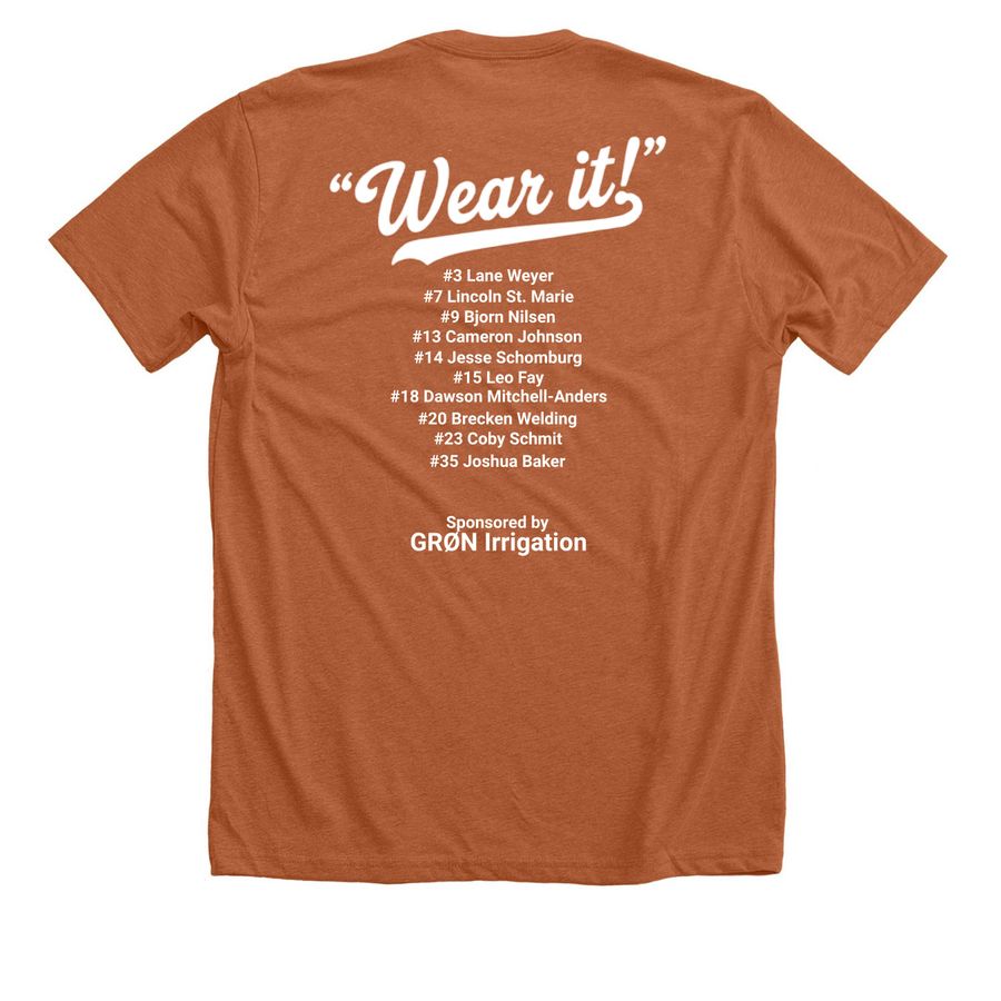 Princeton Tigers "State Bound"&nbsp;, a Heather Autumn Premium Unisex Tee (back-view)
