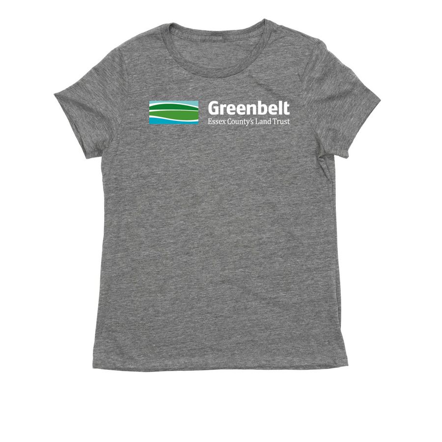 Women, a Aluminum Grey Allmade Eco Triblend Women?s Tee