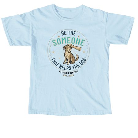 Be the SOMEONE, a Chambray Comfort Colors Unisex Tee