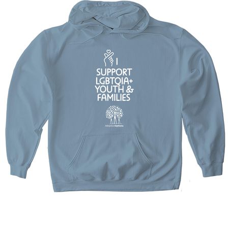 I Support LGBTQIA+ Youth and Families, a Stone Blue Gildan Softstyle Pullover Hoodie