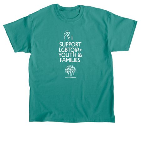 I Support LGBTQIA+ Youth and Families, a Jade Dome Classic Unisex Tee