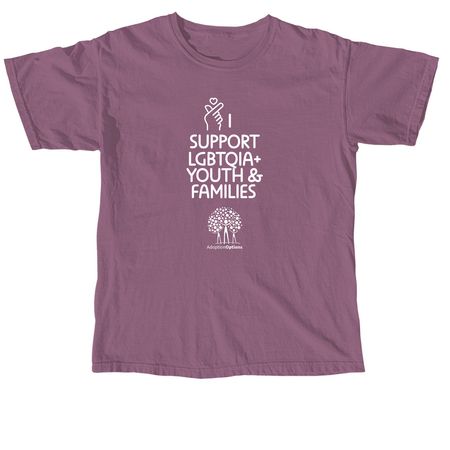 I Support LGBTQIA+ Youth and Families, a Berry Comfort Colors Unisex Tee