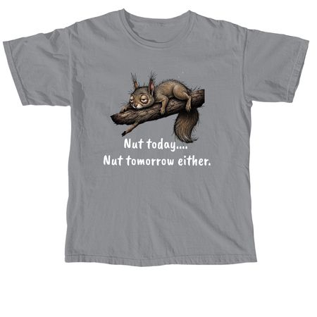 Nut Today, a Granite Comfort Colors Unisex Tee